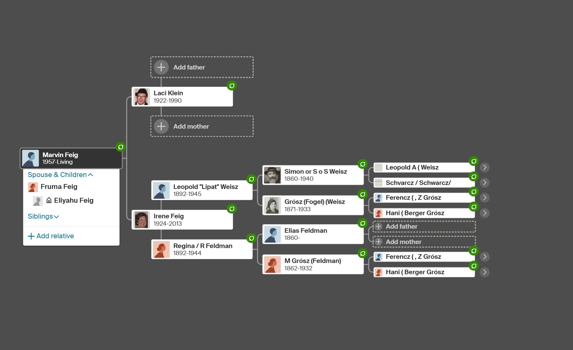 Ancestry tree screenshot - Menachem Feig's direct ancestry