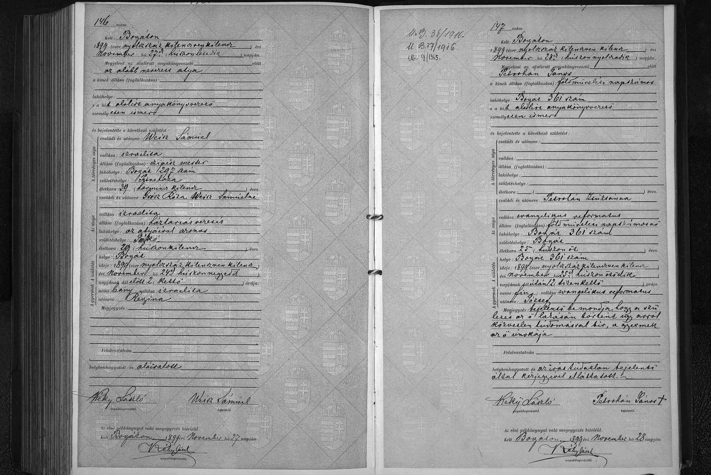 Regina Weisz birth record, 1899