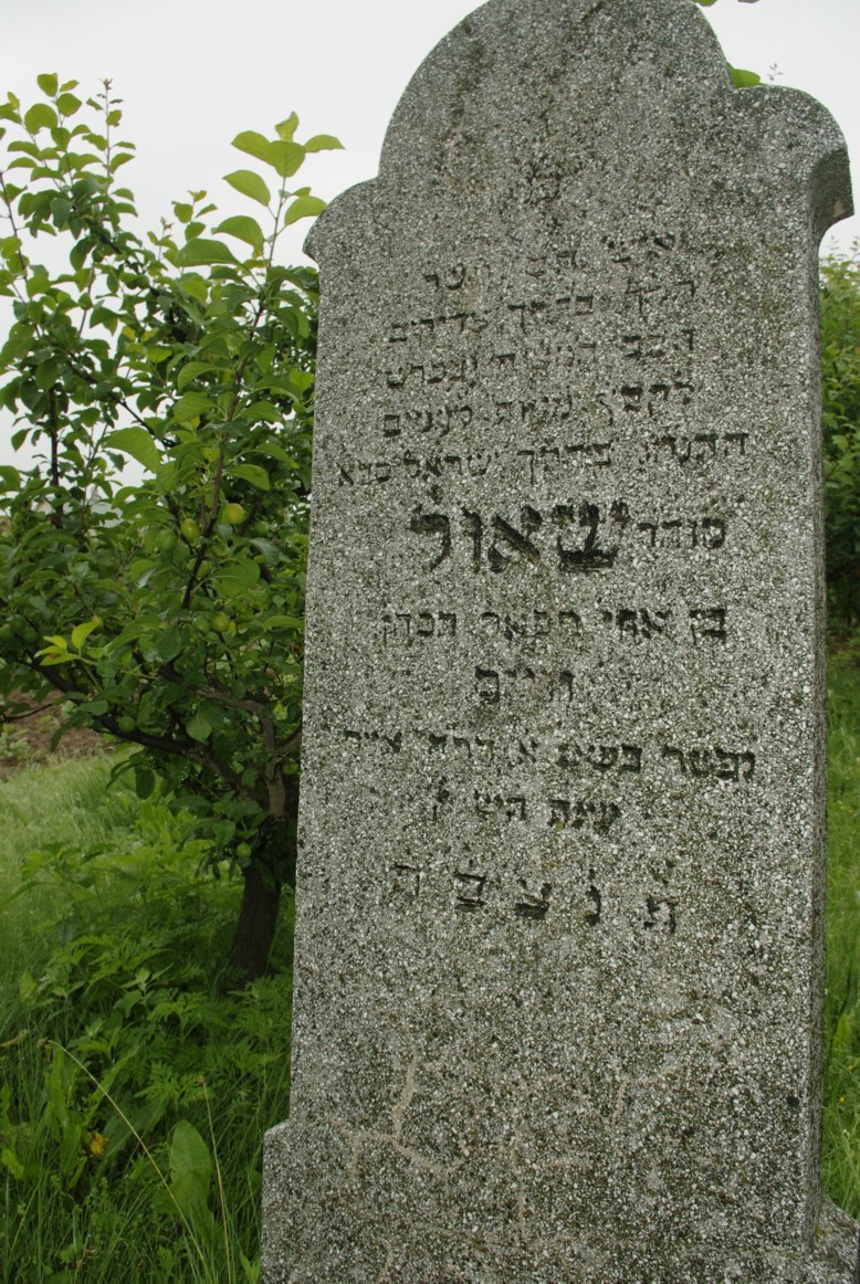 Samuel Weisz headstone, Nyírbogát
