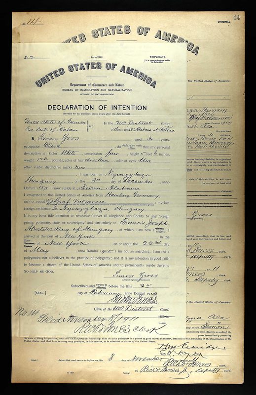 Declaration of Intention · 2 February 1909 — document scan