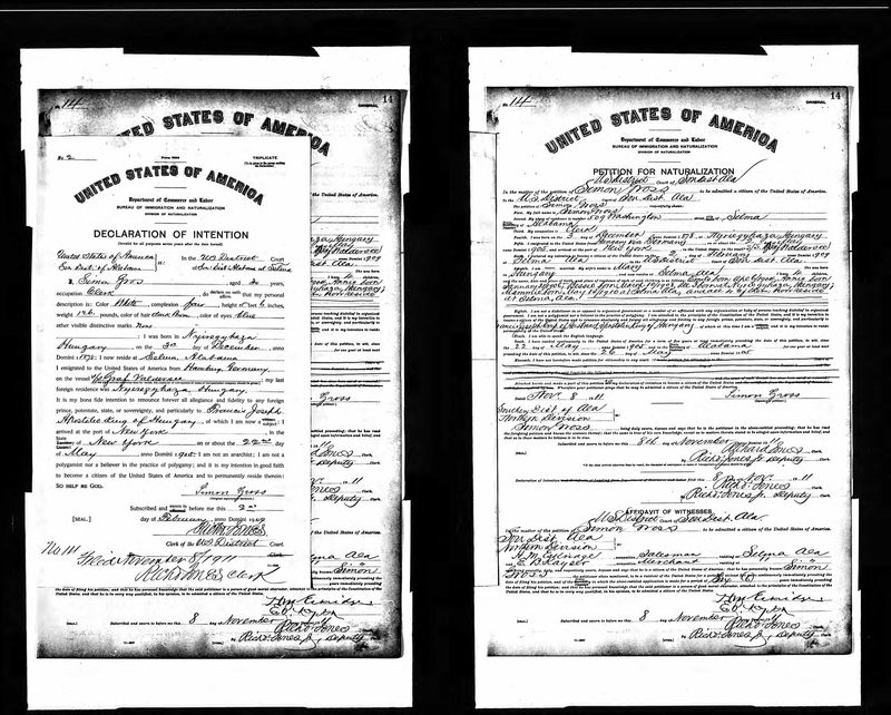 Declaration of Intention · 23 May 1916 — document scan