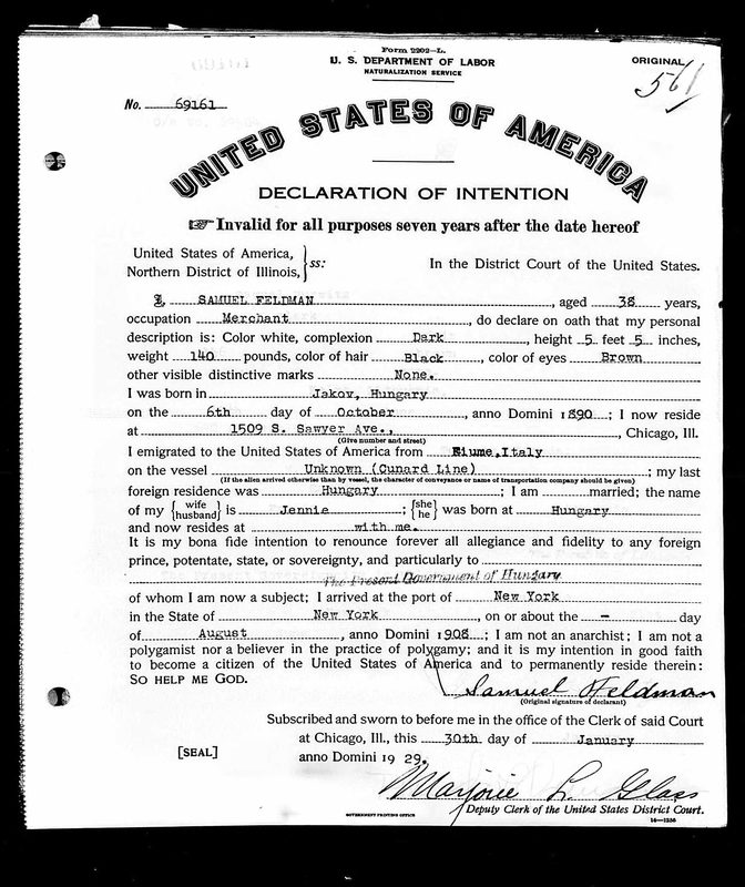 Declaration of Intention (Chicago re-file) · 30 January 1929 — document scan