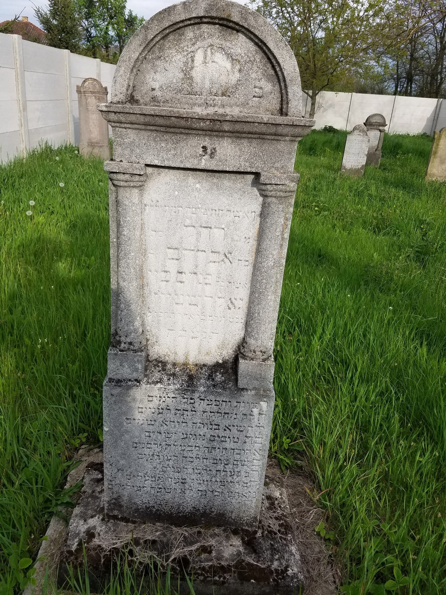 Rachel Hindi Goldstein's matzeiva at Tiszadob Jewish cemetery, photographed 27 April 2017