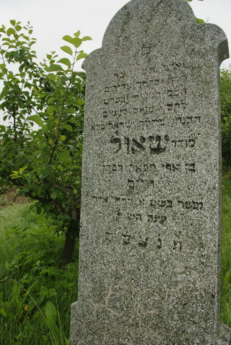 Samuel Weisz's matzeiva names Lebli